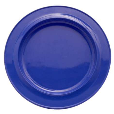 Find Dining Dinner Plate Blue